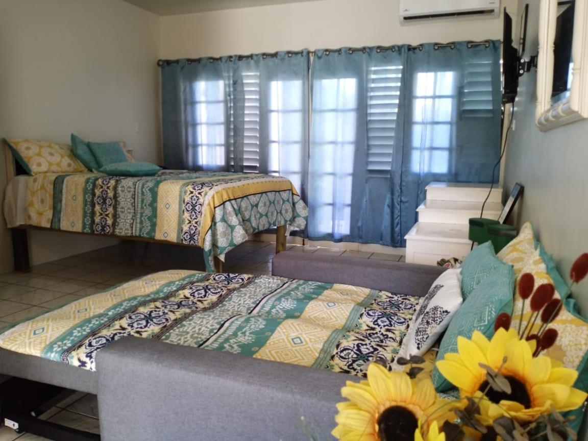 Ridgeway Guest House Montego Bay Exteriér fotografie